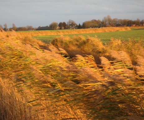 natuur in Groningen