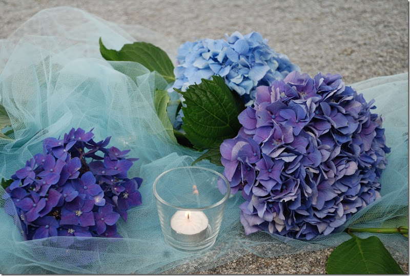 DSC_1076 DSC_1076