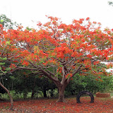 Nasuan April May 2007