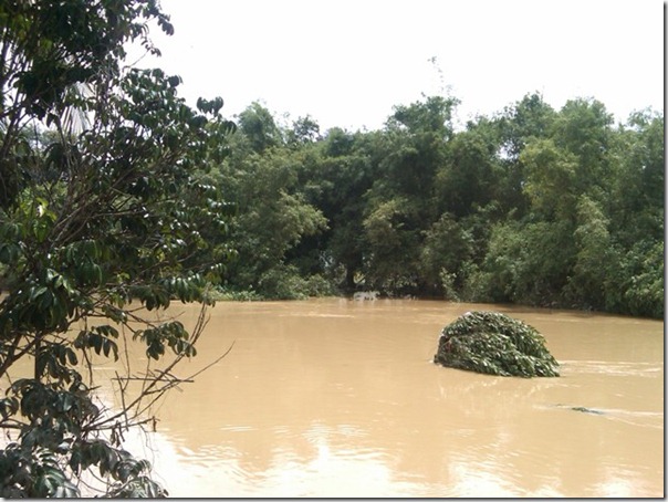 Sungai Padang Terap (banjir bermula dari sungai ini) 1