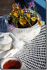 IMG_3837 IMG_3837