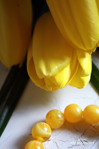 [IMG_097913.jpg]