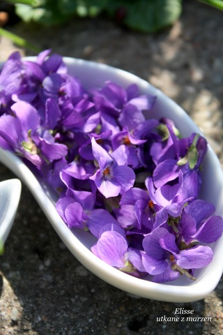 [IMG_136513.jpg]