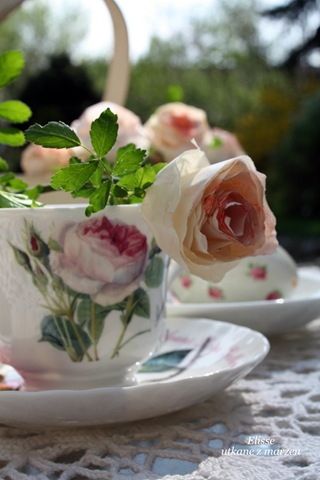 [IMG_159913.jpg]