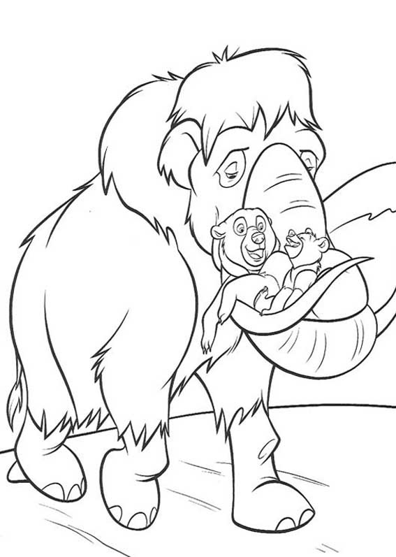 [IRMÃO URSO 9[2].jpg]