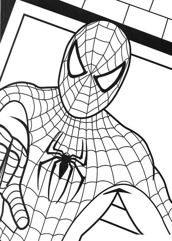 [HOMEM ARANHA 10.jpg]