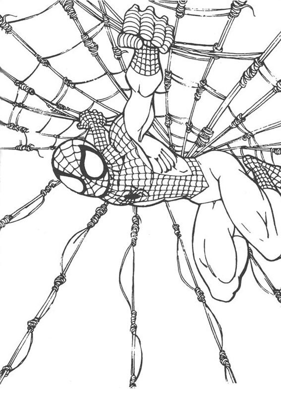 [HOMEM ARANHA 63.jpg]