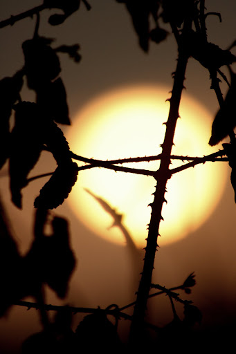 Sun claiming the existence