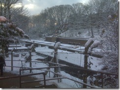 highgate