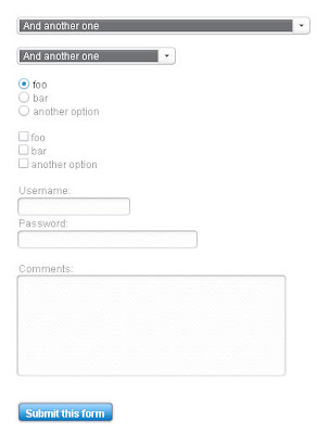 simple css form style