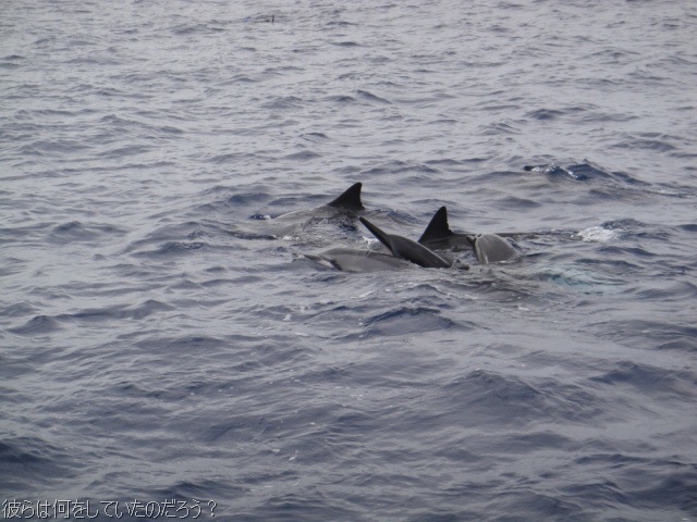 [DSC06274[15].jpg]