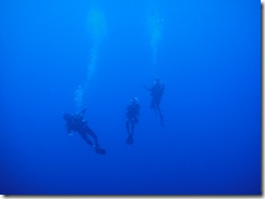 ハワイ島ダイビング ハワイ島ダイビング
