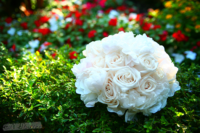 Christian and Emel Wedding