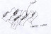 8. croquis