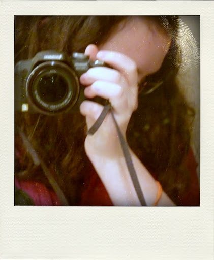 http://lh6.ggpht.com/_MN_0wch910s/S28zZwVfVFI/AAAAAAAAEhw/0eQ062juXNs/s512/042-pola01.jpg