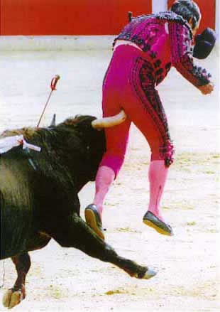 [touradadolorida[4].jpg]
