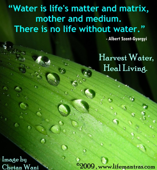 www.LifeMantras.com Monsoon 2009