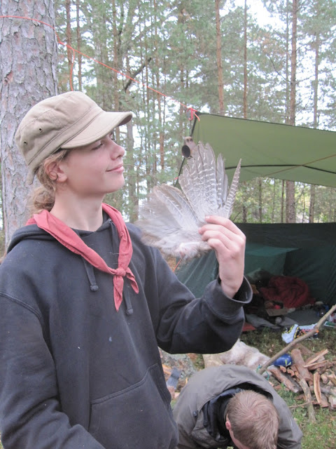 Feathers
