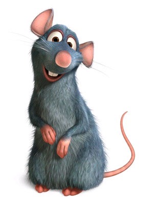 [ratatouillefoto25.jpg]