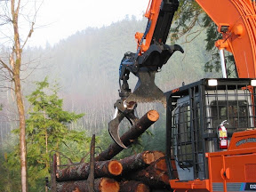 Forestry-Log Grapple