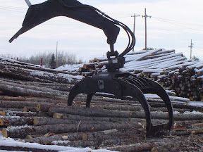 Forestry-Bunching