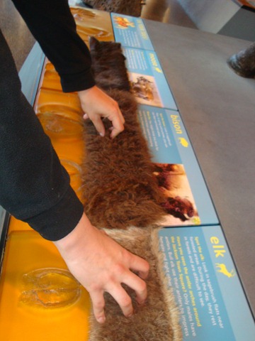 [DSC027493.jpg]