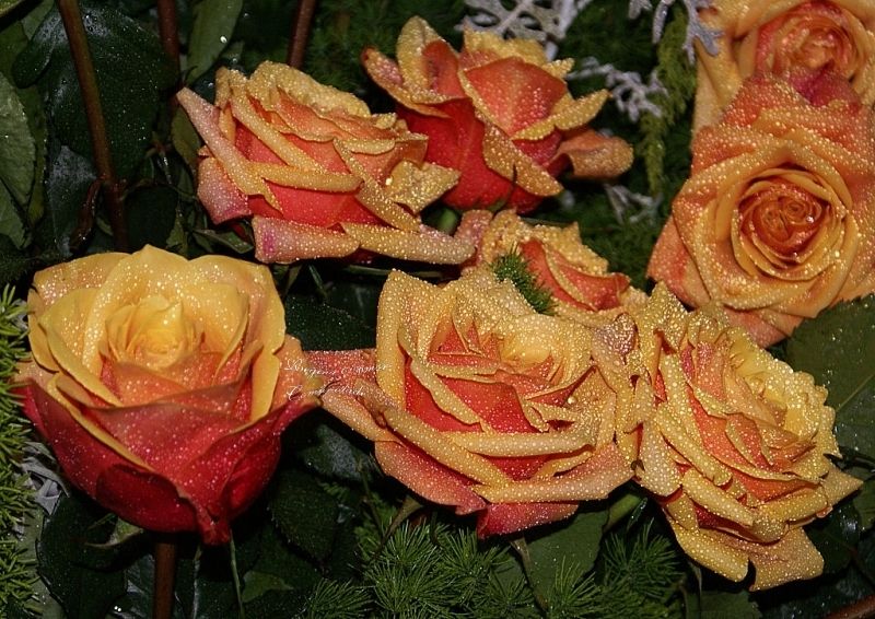 Fun, Entertainment, Wallpapers, Videos, Jokes & mOre Only @ MumbiHangout Visit Us @ www.MumbaiHangOut.Org