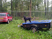 Foto's september 2010 012.jpg