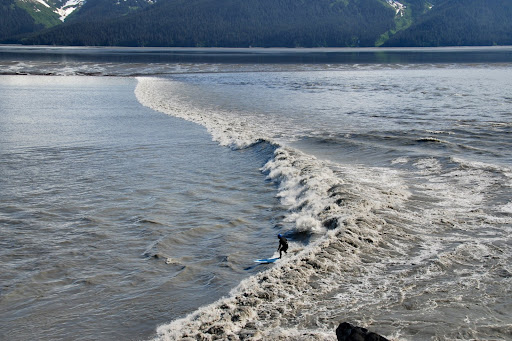 Surfing+Turnagain+Arm+Bore+Tide+-+DSC_9150.JPG