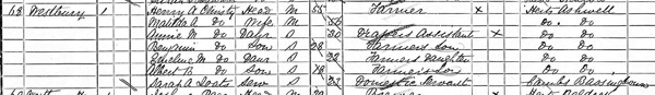 [1891-census-small[7].jpg]