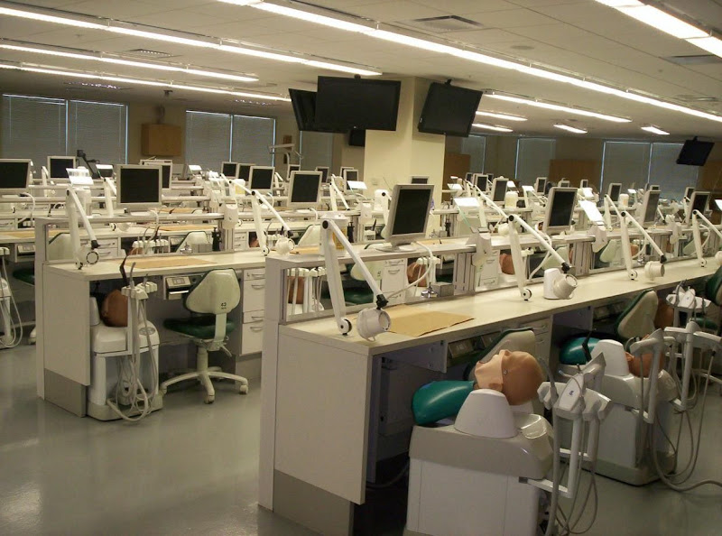 Best Dental School Architecture | Student Doctor Network Forums