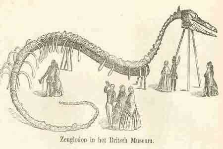 [clip_image007[4].jpg]