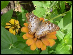 P1010648