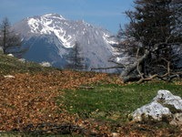 Stol se zdi skoraj na dosegu roke