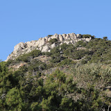 182.JPG