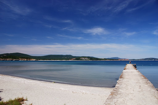 DSC_7852.JPG
