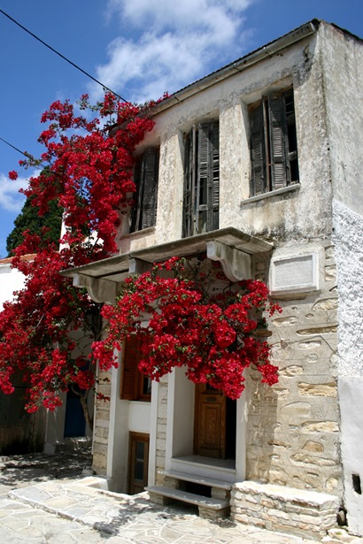 cASA2