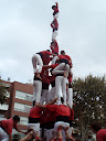 http://lh6.ggpht.com/_Mf0WlVqeCbM/SvQ-mRrs7sI/AAAAAAAABMA/ozf1FdyG42A/PB010050.JPG