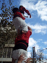 http://lh6.ggpht.com/_Mf0WlVqeCbM/SwQiTjtnzFI/AAAAAAAABcA/gKRRVvQHJcI/PB070087.JPG