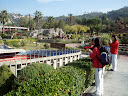 http://lh6.ggpht.com/_Mf0WlVqeCbM/SwrY7oJheMI/AAAAAAAAC5A/0nG8RxGLoAg/PB140125.JPG