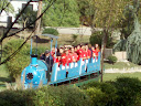 http://lh6.ggpht.com/_Mf0WlVqeCbM/SwrbrrC5oCI/AAAAAAAAC9E/Ch0gCk961QE/PB140268.JPG