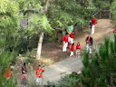 http://lh6.ggpht.com/_Mf0WlVqeCbM/Swre6_A4ZzI/AAAAAAAADBE/jTHwtnBHADg/PB140533.JPG