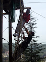 http://lh6.ggpht.com/_Mf0WlVqeCbM/Swrj8JafrGI/AAAAAAAADHo/_2hxHLg_DTc/PB140952.JPG