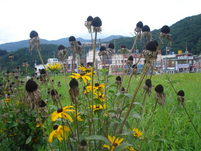[DSC061853.jpg]