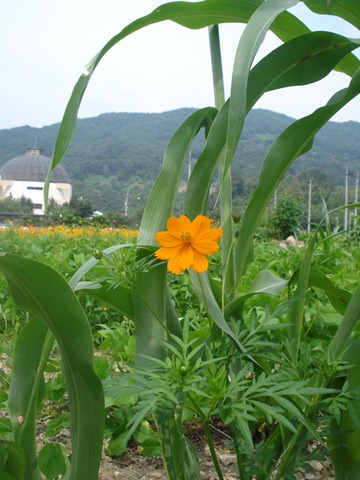 [DSC062193.jpg]