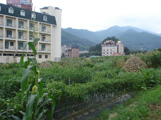 [DSC061486.jpg]