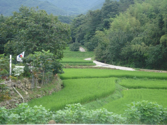 [DSC061623.jpg]