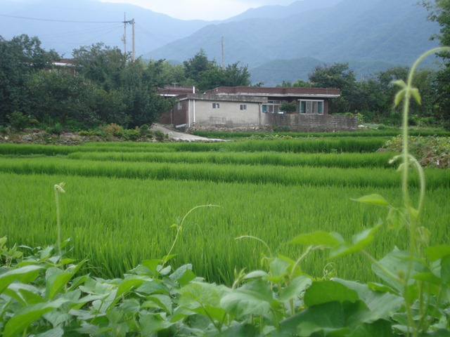 [DSC061653.jpg]
