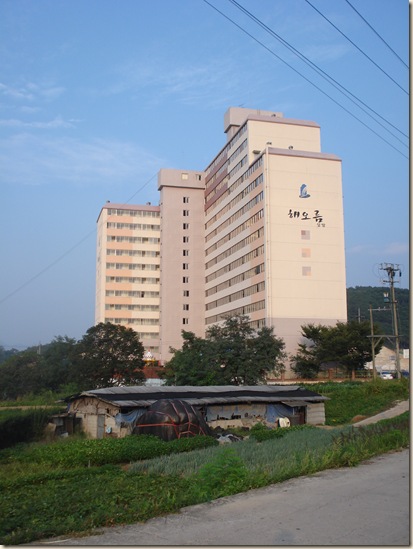DSC06446