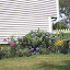 Sne Irish's Backyard garden